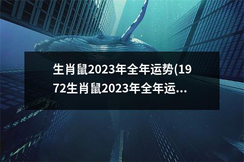 生肖鼠2023年全年运势(1972生肖鼠2023年全年运势)