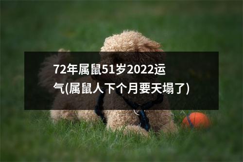 72年属鼠51岁2022运气(属鼠人下个月要天塌了)