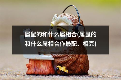 属鼠的和什么属相合(属鼠的和什么属相合作配、相克)