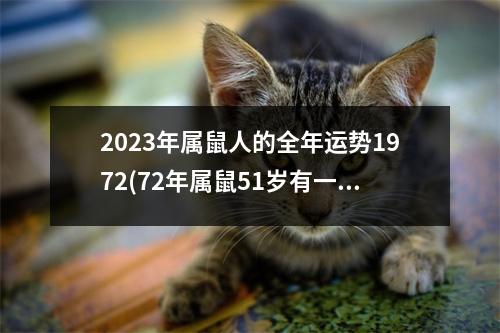 2023年属鼠人的全年运势1972(72年属鼠51岁有一灾2023)