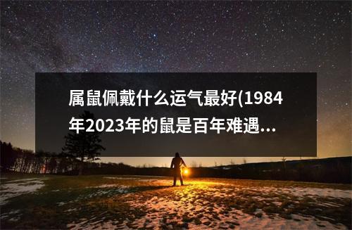 属鼠佩戴什么运气好(1984年2023年的鼠是百年难遇)