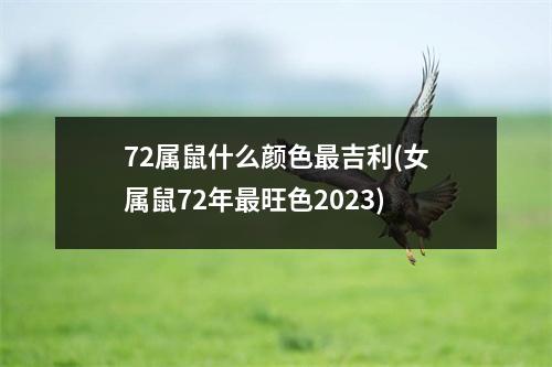 72属鼠什么颜色吉利(女属鼠72年旺色2023)