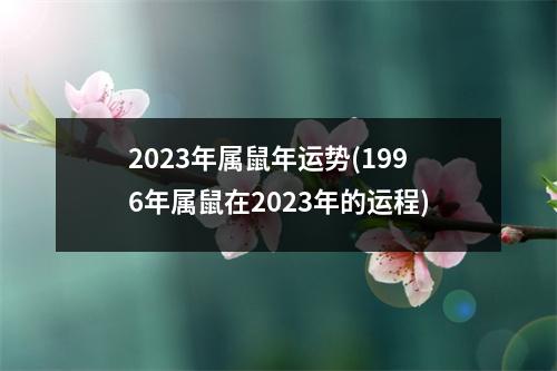 2023年属鼠年运势(1996年属鼠在2023年的运程)