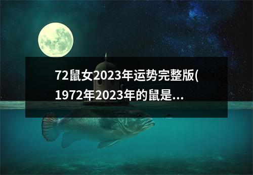 72鼠女2023年运势完整版(1972年2023年的鼠是百年难遇)