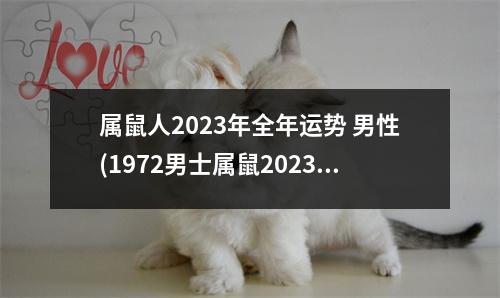 属鼠人2023年全年运势 男性(1972男士属鼠2023年整体财运)