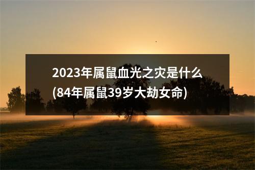 2023年属鼠血光之灾是什么(84年属鼠39岁大劫女命)