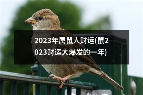 2023年属鼠人财运(鼠2023财运大爆发的一年)