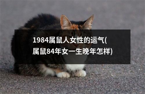 1984属鼠人女性的运气(属鼠84年女一生晚年怎样)