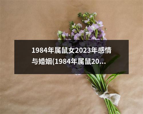 1984年属鼠女2023年感情与婚姻(1984年属鼠2023年运势每月运势)