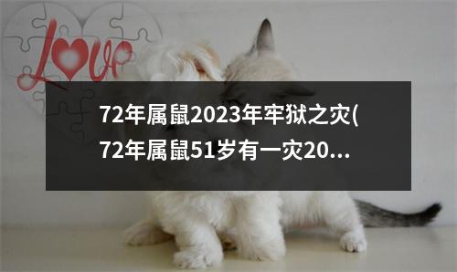 72年属鼠2023年牢狱之灾(72年属鼠51岁有一灾2023)