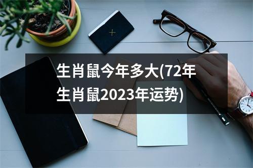 生肖鼠今年多大(72年生肖鼠2023年运势)