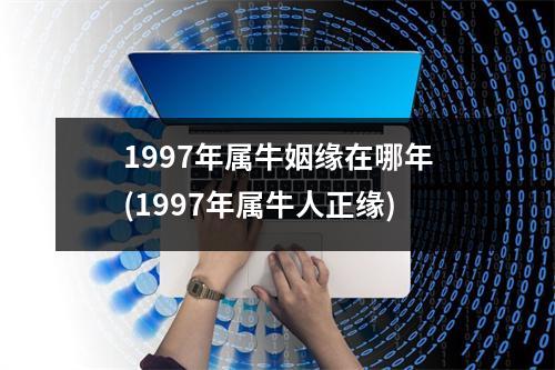 1997年属牛姻缘在哪年(1997年属牛人正缘)