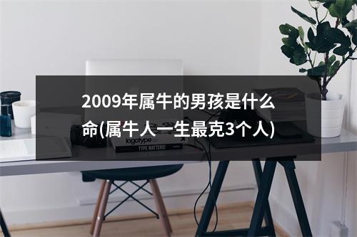 2009年属牛的男孩是什么命(属牛人一生克3个人)