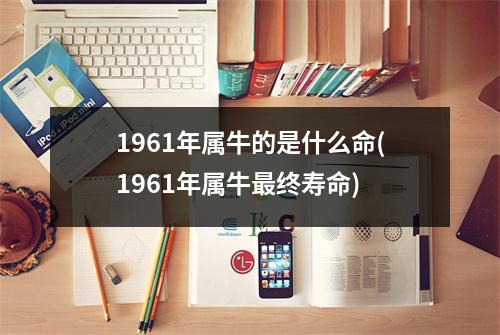 1961年属牛的是什么命(1961年属牛终寿命)