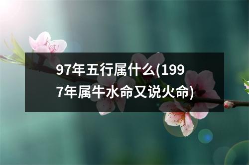 97年五行属什么(1997年属牛水命又说火命)