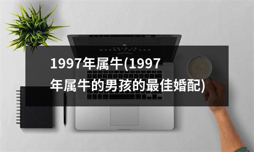 1997年属牛(1997年属牛的男孩的佳婚配)