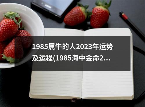 1985属牛的人2023年运势及运程(1985海中金命2023年运势)