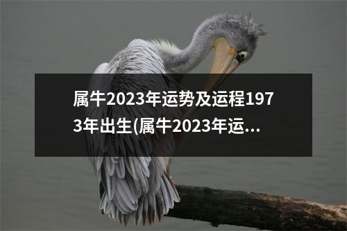 属牛2023年运势及运程1973年出生(属牛2023年运势及运程1973年出生及幸运色)