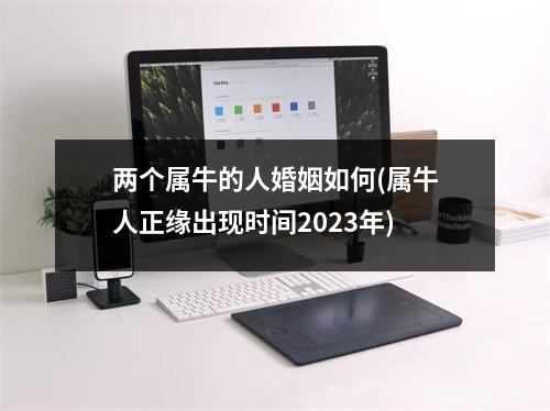 两个属牛的人婚姻如何(属牛人正缘出现时间2023年)