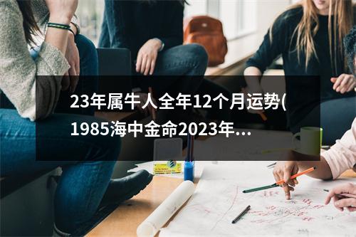 23年属牛人全年12个月运势(1985海中金命2023年运势)