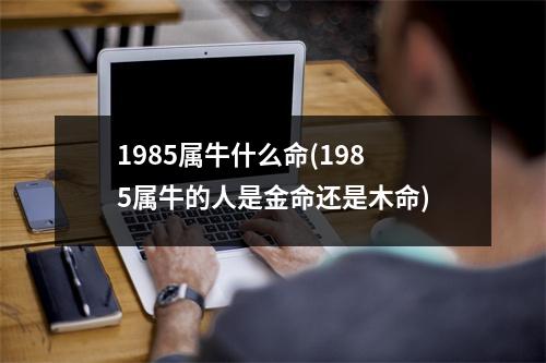 1985属牛什么命(1985属牛的人是金命还是木命)