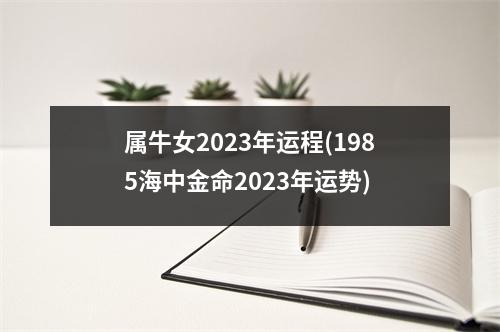 属牛女2023年运程(1985海中金命2023年运势)