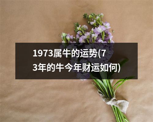 1973属牛的运势(73年的牛今年财运如何)