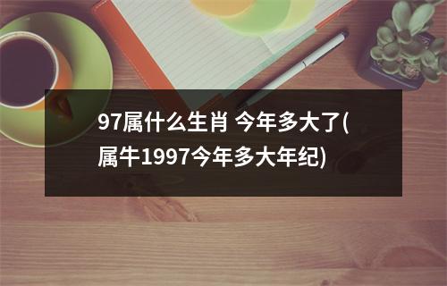 97属什么生肖 今年多大了(属牛1997今年多大年纪)