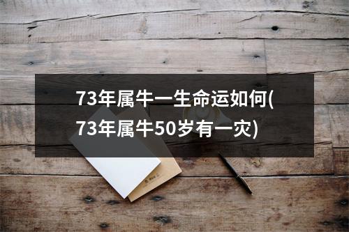 73年属牛一生命运如何(73年属牛50岁有一灾)