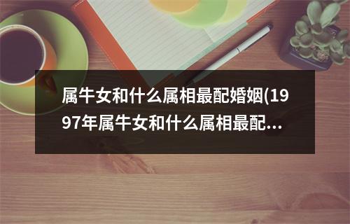 属牛女和什么属相配婚姻(1997年属牛女和什么属相配婚姻)