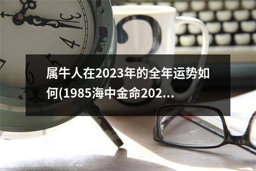 属牛人在2023年的全年运势如何(1985海中金命2023年运势)