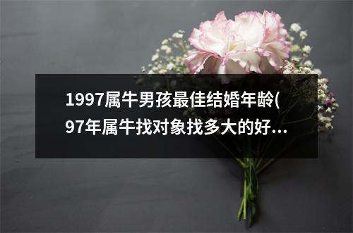 1997属牛男孩佳结婚年龄(97年属牛找对象找多大的好)