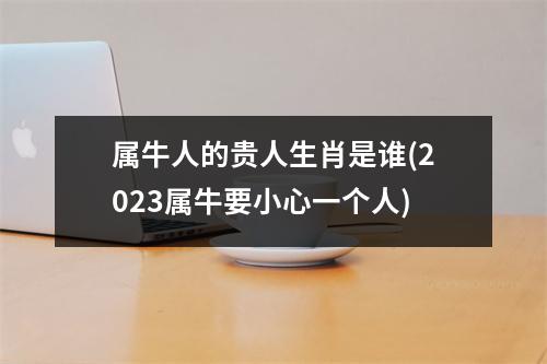 属牛人的贵人生肖是谁(2023属牛要小心一个人)