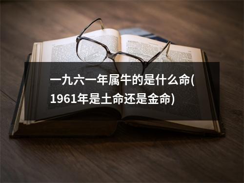 一九六一年属牛的是什么命(1961年是土命还是金命)