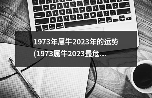 1973年属牛2023年的运势(1973属牛2023危险的几个月)