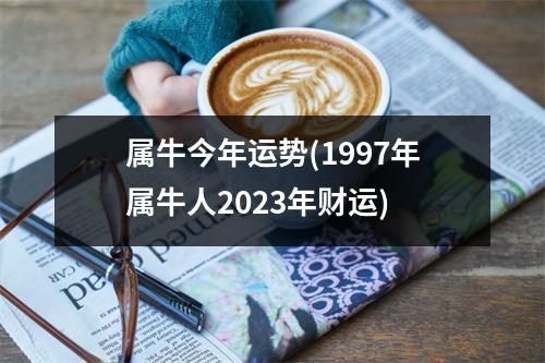 属牛今年运势(1997年属牛人2023年财运)