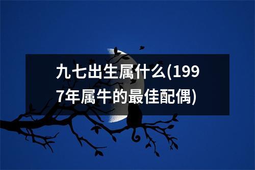 九七出生属什么(1997年属牛的佳配偶)