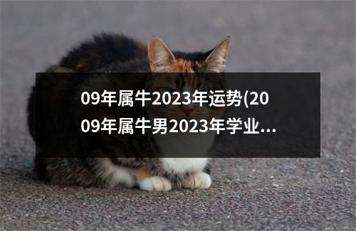 09年属牛2023年运势(2009年属牛男2023年学业运程)