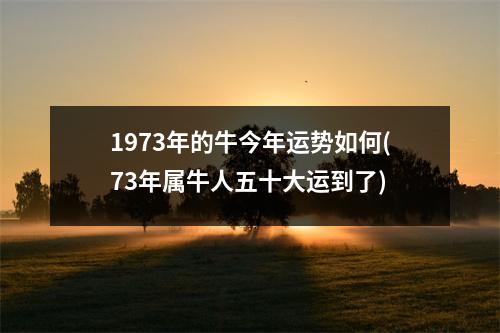 1973年的牛今年运势如何(73年属牛人五十大运到了)