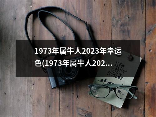 1973年属牛人2023年幸运色(1973年属牛人2023旺的颜色)