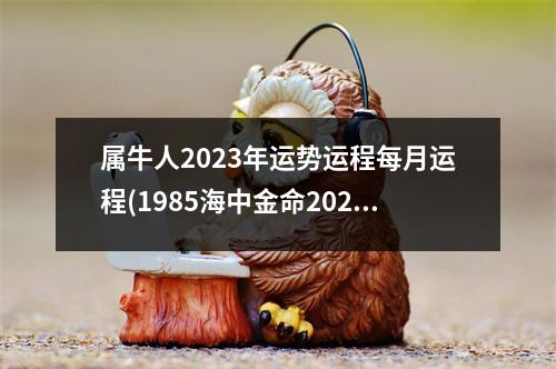 属牛人2023年运势运程每月运程(1985海中金命2023年运势)