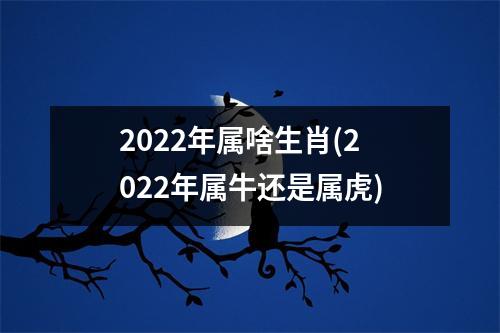 2022年属啥生肖(2022年属牛还是属虎)