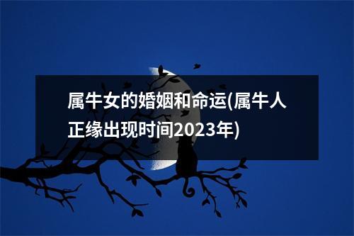 属牛女的婚姻和命运(属牛人正缘出现时间2023年)