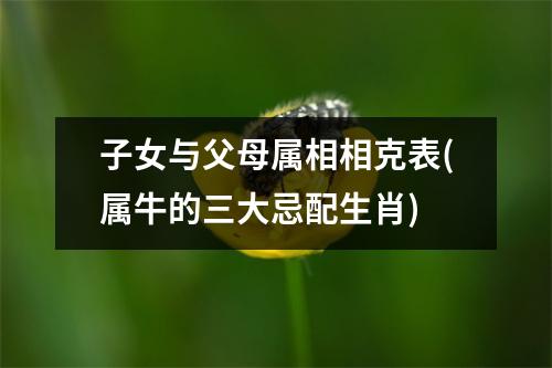 子女与父母属相相克表(属牛的三大忌配生肖)