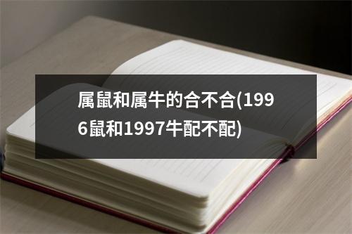 属鼠和属牛的合不合(1996鼠和1997牛配不配)