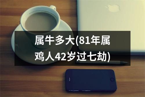 属牛多大(81年属鸡人42岁过七劫)