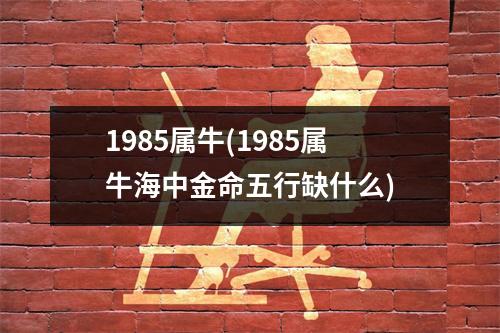 1985属牛(1985属牛海中金命五行缺什么)