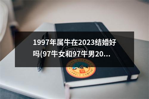 1997年属牛在2023结婚好吗(97牛女和97牛男2023结婚吉日)