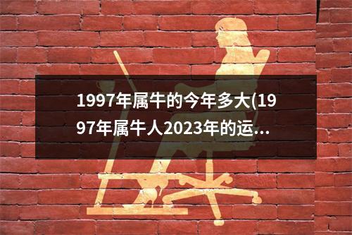 1997年属牛的今年多大(1997年属牛人2023年的运势和婚姻)