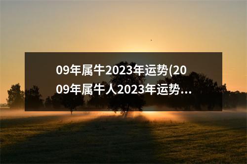 09年属牛2023年运势(2009年属牛人2023年运势)